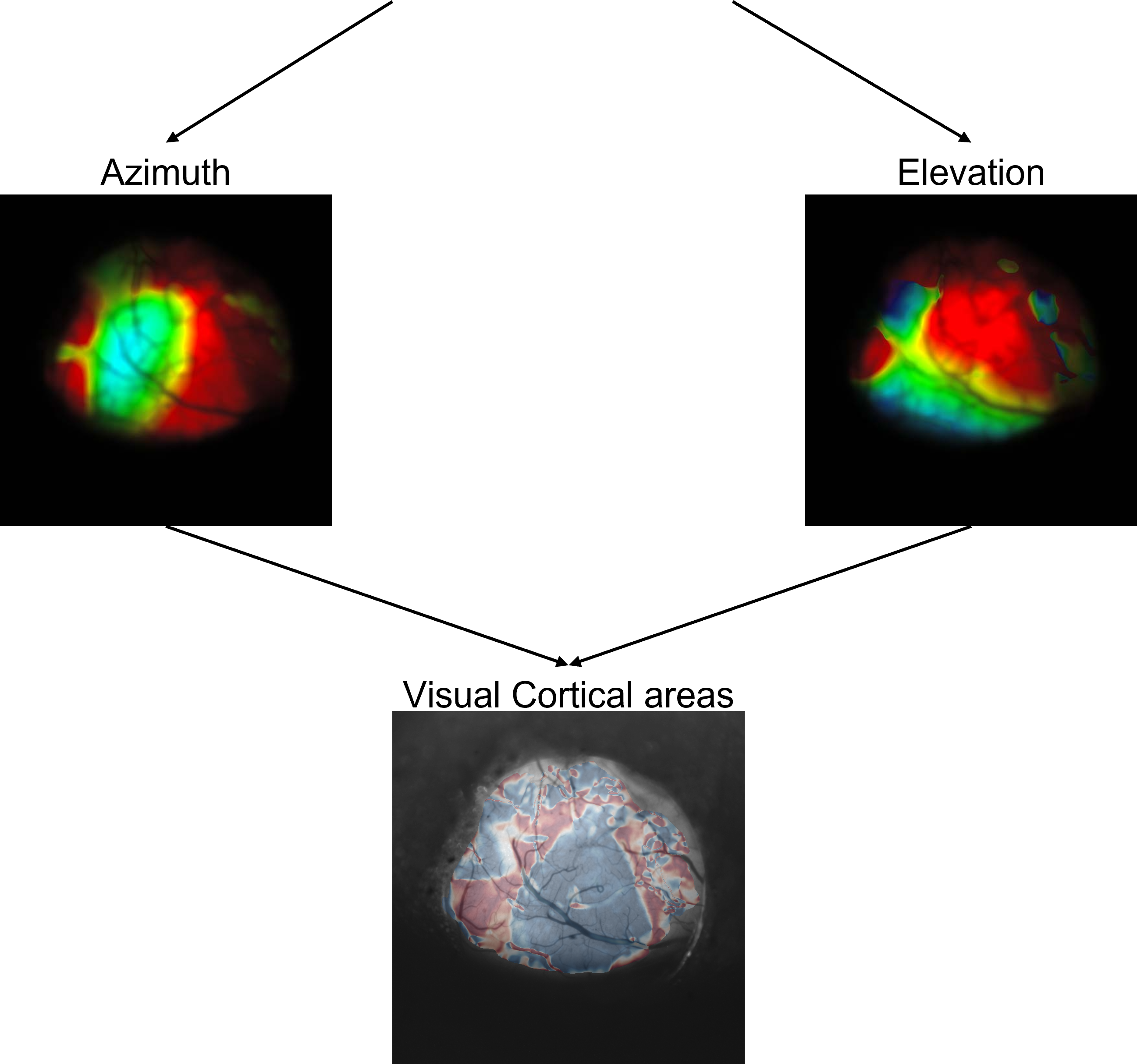 After Video Image